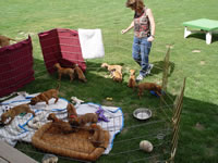 DSC00001.jpg (104kb)