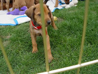 DSC00003.jpg (114kb)