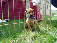 DSC00006.jpg (130kb)