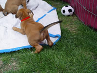 DSC00021.jpg (100kb)