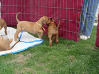 DSC00023.jpg (111kb)