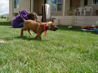 DSC00048.jpg (121kb)