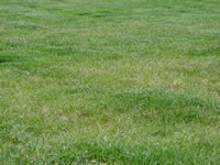 DSC00053.jpg (128kb)