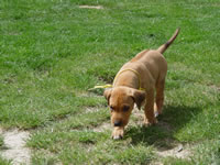 DSC00054.jpg (127kb)